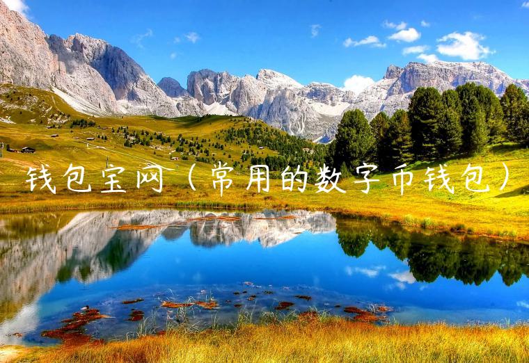 钱包宝网（常用的数字币钱包）-第1张图片-欧意下载