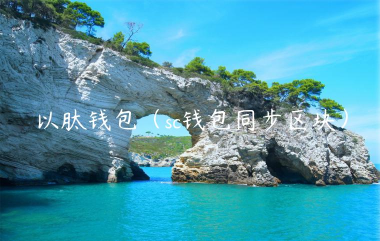 以肽钱包（sc钱包同步区块）-第1张图片-欧意下载