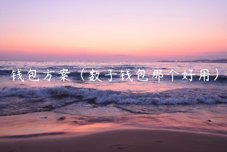 钱包方案（数子钱包那个好用）-第1张图片-欧意下载