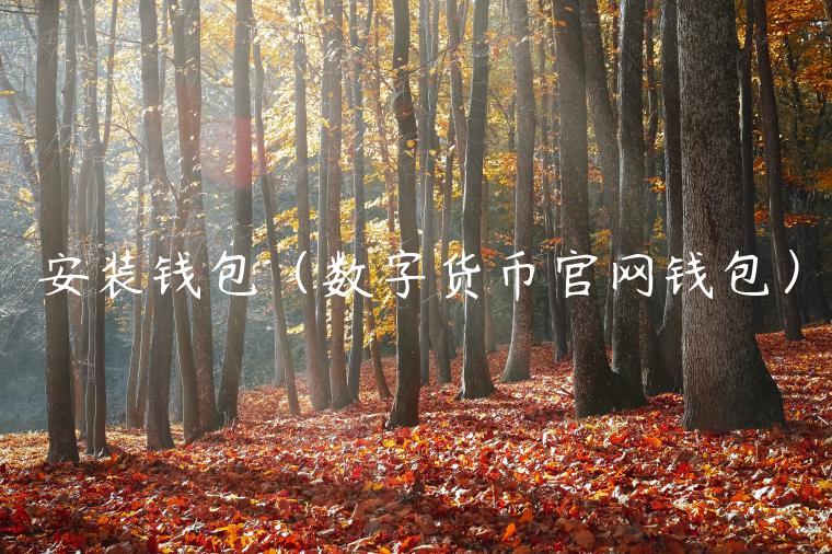 安装钱包（数字货币官网钱包）-第1张图片-欧意下载