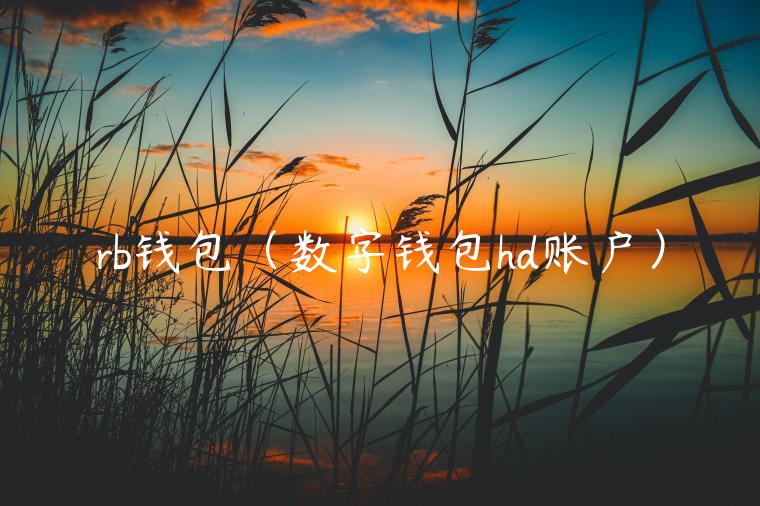 rb钱包（数字钱包hd账户）-第1张图片-欧意下载