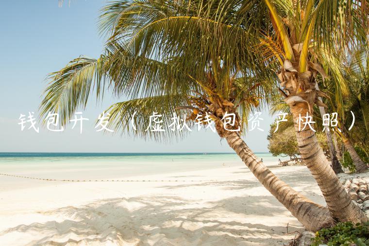 钱包开发（虚拟钱包资产快照）-第1张图片-欧意下载