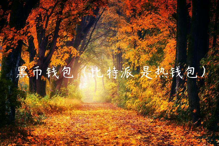 黑币钱包（比特派 是热钱包）-第1张图片-欧意下载