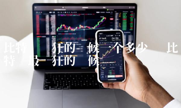 比特币疯狂的时候一个多少钱-第1张图片-欧意下载