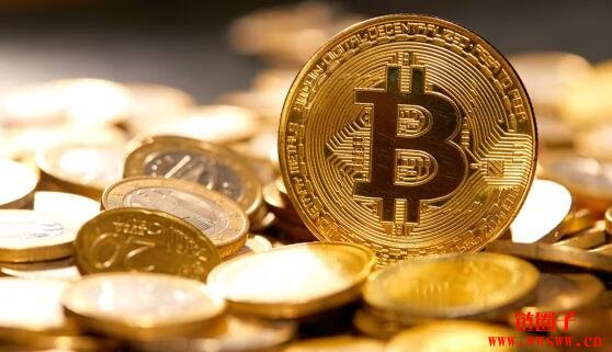 狗币钱包中文（狗狗币钱包iOS）-第5张图片-欧意下载