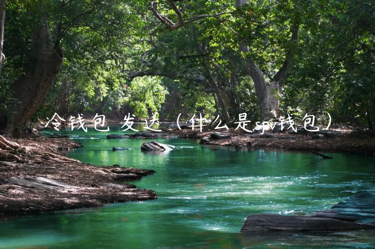 冷钱包 发送（什么是spv钱包）-第1张图片-欧意下载