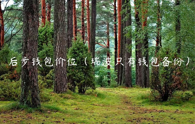后步钱包价位（瑞波只有钱包备份）-第1张图片-欧意下载