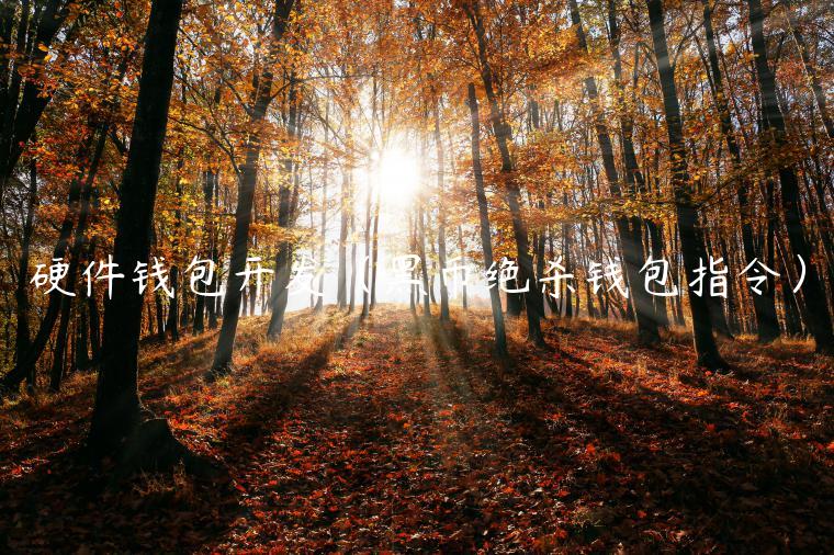 硬件钱包开发（黑币绝杀钱包指令）-第1张图片-欧意下载