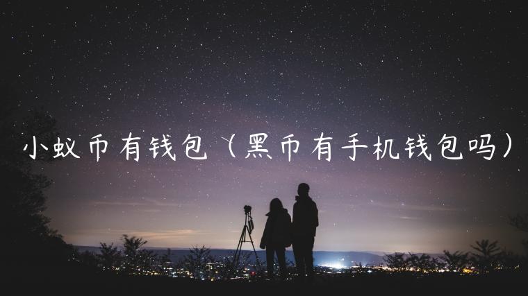 小蚁币有钱包（黑币有手机钱包吗）-第1张图片-欧意下载