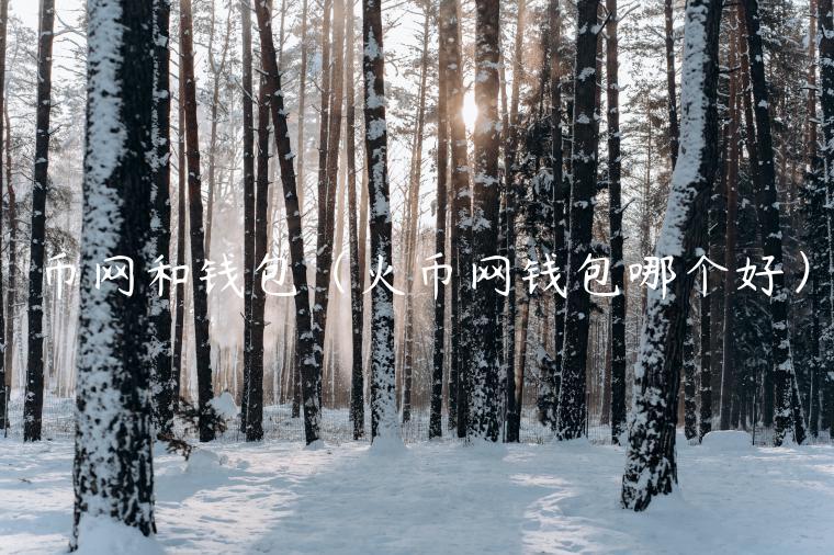 币网和钱包（火币网钱包哪个好）-第1张图片-欧意下载