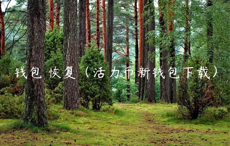 钱包 恢复（活力币新钱包下载）-第1张图片-欧意下载