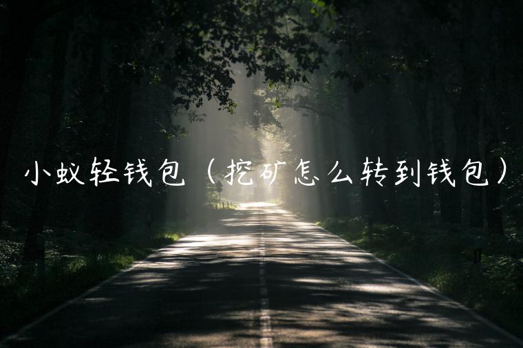 小蚁轻钱包（挖矿怎么转到钱包）-第1张图片-欧意下载