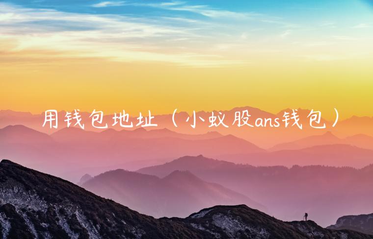 用钱包地址（小蚁股ans钱包）-第1张图片-欧意下载