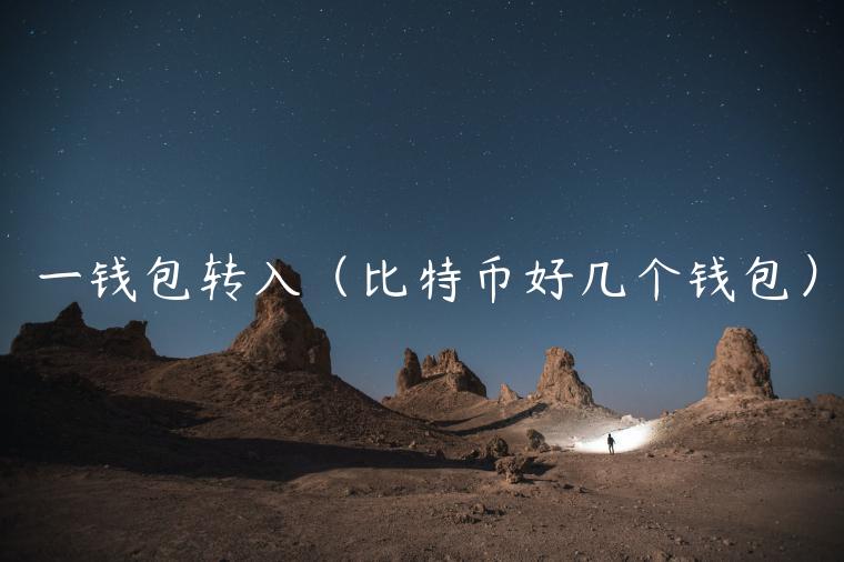 一钱包转入（比特币好几个钱包）-第1张图片-欧意下载