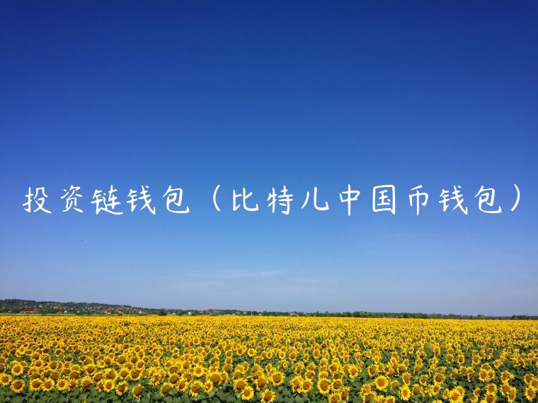 投资链钱包（比特儿中国币钱包）-第1张图片-欧意下载