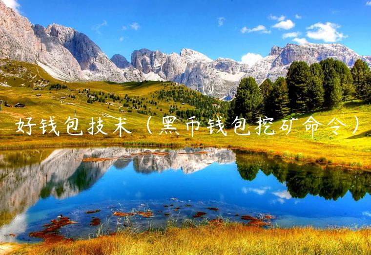 好钱包技术（黑币钱包挖矿命令）-第1张图片-欧意下载