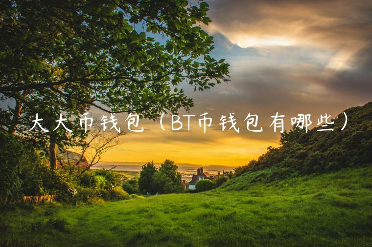 大大币钱包（BT币钱包有哪些）-第1张图片-欧意下载