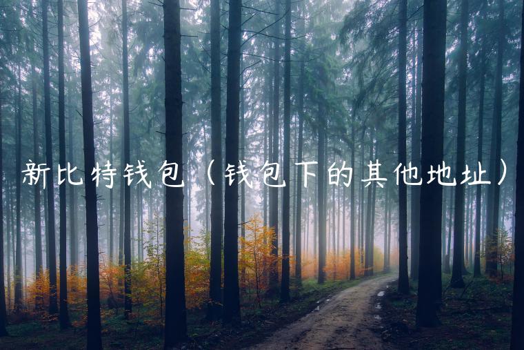 新比特钱包（钱包下的其他地址）-第1张图片-欧意下载