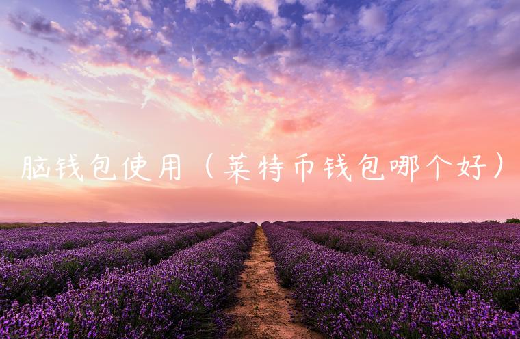 脑钱包使用（莱特币钱包哪个好）-第1张图片-欧意下载