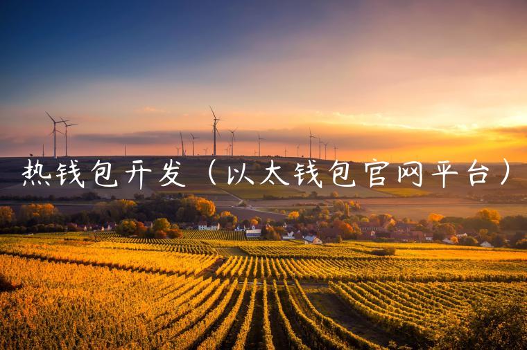 热钱包开发（以太钱包官网平台）-第1张图片-欧意下载