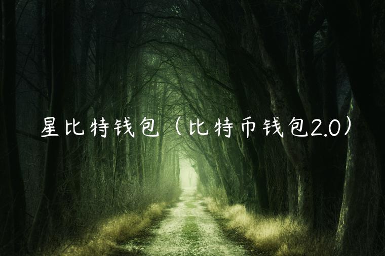 星比特钱包（比特币钱包2.0）-第1张图片-欧意下载