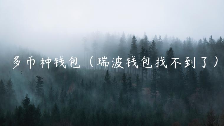 多币种钱包（瑞波钱包找不到了）-第1张图片-欧意下载