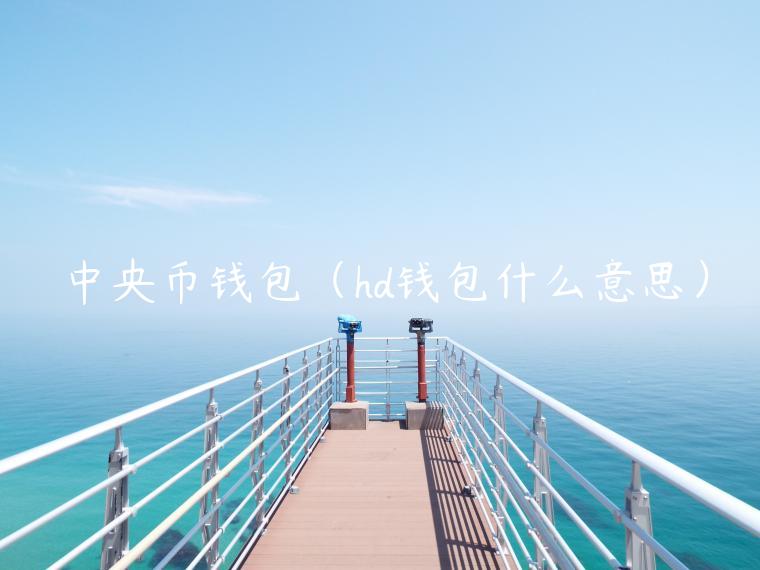 中央币钱包（hd钱包什么意思）-第1张图片-欧意下载