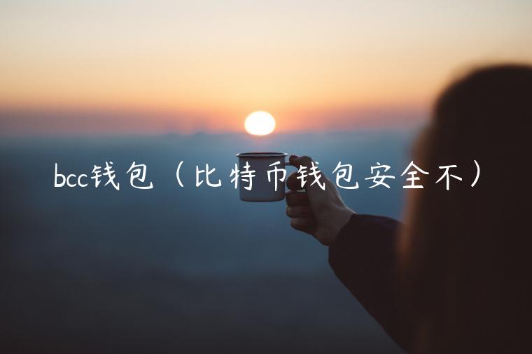 bcc钱包（比特币钱包安全不）-第1张图片-欧意下载