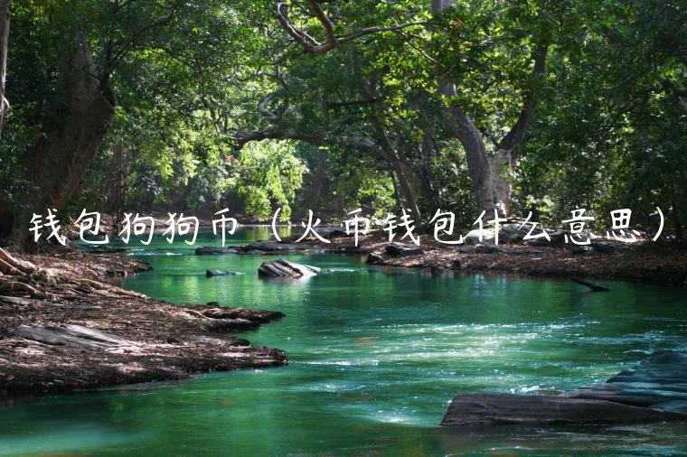 钱包狗狗币（火币钱包什么意思）-第1张图片-欧意下载