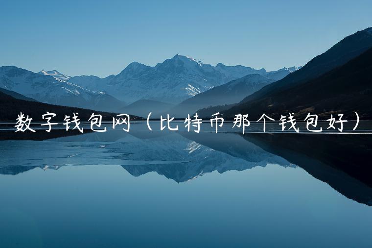数字钱包网（比特币那个钱包好）-第1张图片-欧意下载