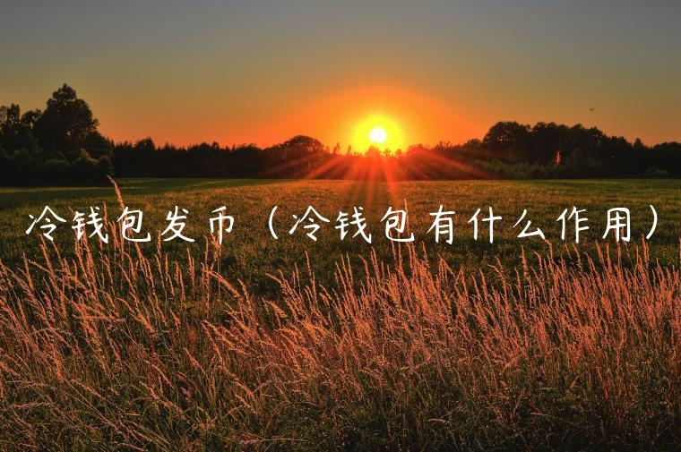 冷钱包发币（冷钱包有什么作用）-第1张图片-欧意下载