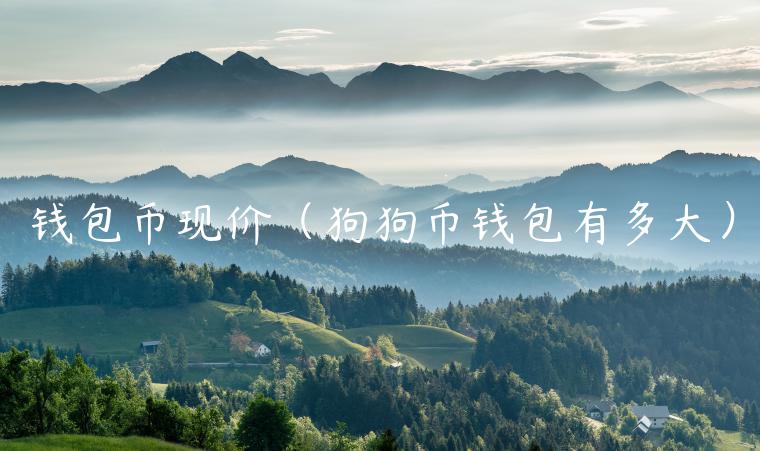 钱包币现价（狗狗币钱包有多大）-第1张图片-欧意下载