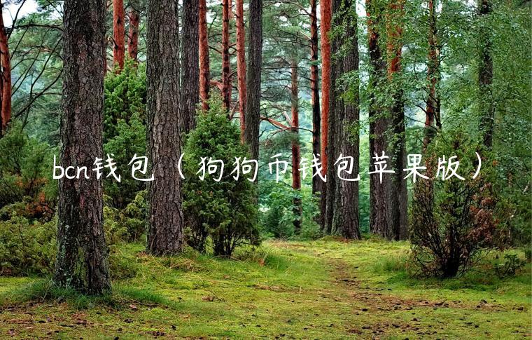 bcn钱包（狗狗币钱包苹果版）-第1张图片-欧意下载