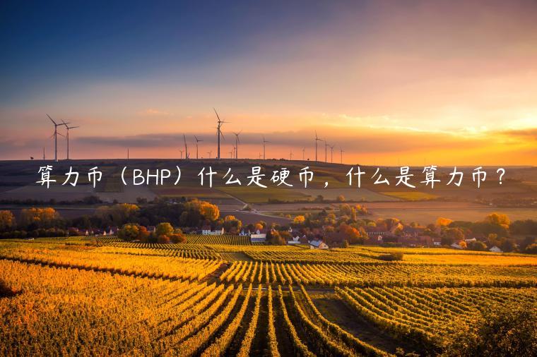 算力币（BHP）什么是硬币，什么是算力币？-第1张图片-欧意下载