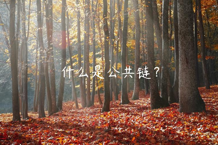 什么是公共链？-第1张图片-欧意下载