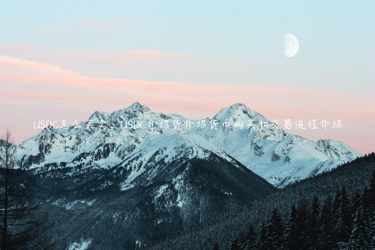 USDC怎么买卖，USDC介绍货介绍货币购买和交易流程介绍-第1张图片-欧意下载