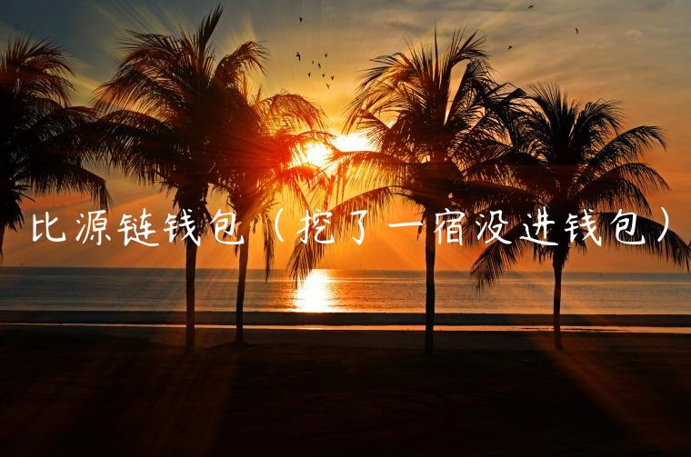 比源链钱包（挖了一宿没进钱包）-第1张图片-欧意下载