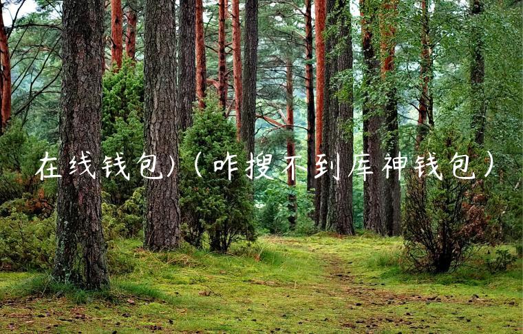 在线钱包（咋搜不到库神钱包）-第1张图片-欧意下载