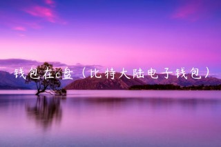 钱包在c盘（比特大陆电子钱包）