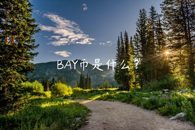 BAY币是什么？-第1张图片-欧意下载