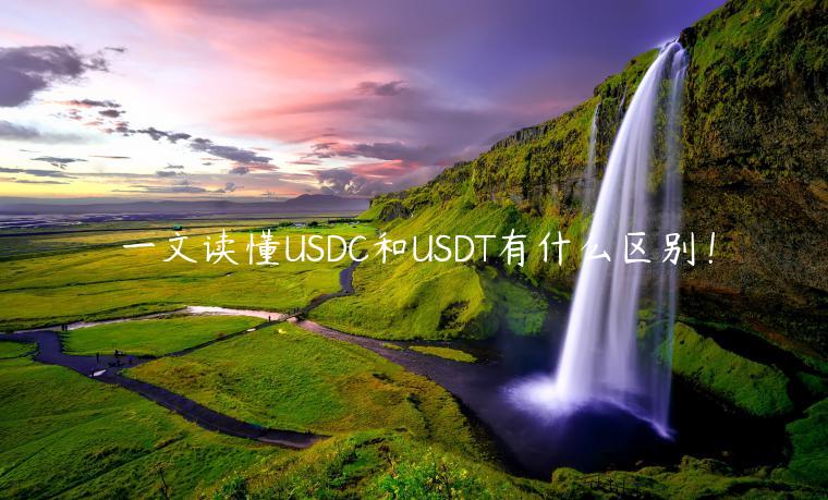 一文读懂USDC和USDT有什么区别！-第1张图片-欧意下载