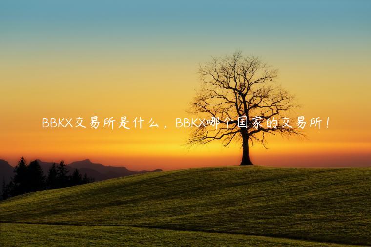 BBK交易所是什么，BBK哪个国家的交易所！-第1张图片-欧意下载