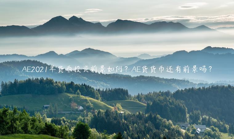 A2021年货币投资前景如何？A货货币还有前景吗？-第1张图片-欧意下载