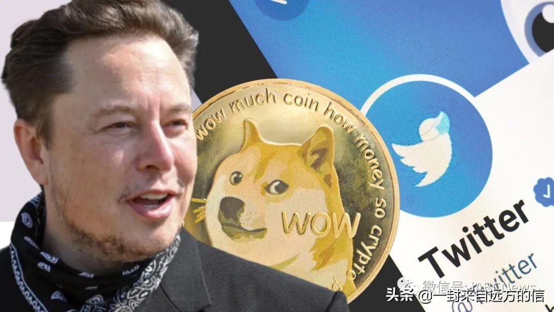 2022狗狗币（2022狗狗币现在翻了多少倍）-第1张图片-欧意下载