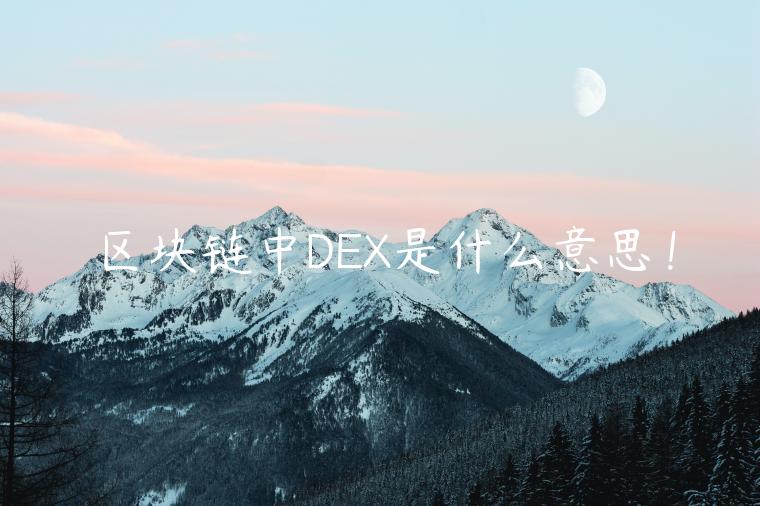 区块链中D是什么意思！-第1张图片-欧意下载