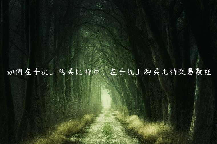 如何在手机上购买比特币，在手机上购买比特交易教程-第1张图片-欧意下载