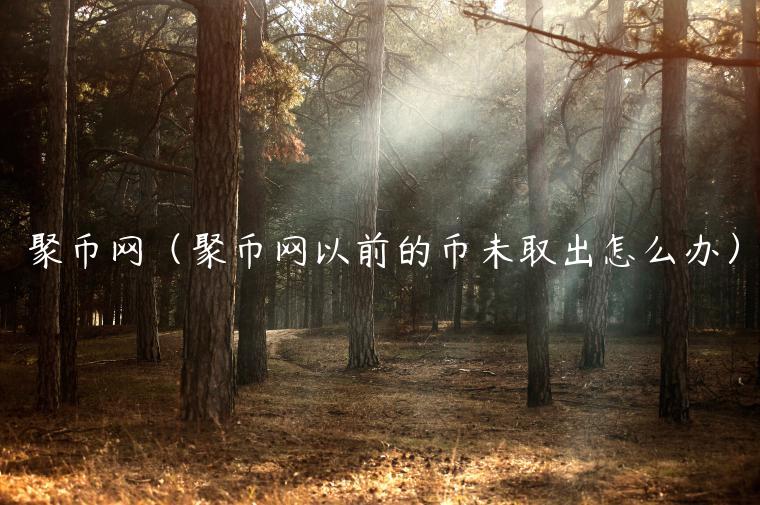 聚币网（聚币网以前的币未取出怎么办）-第1张图片-欧意下载