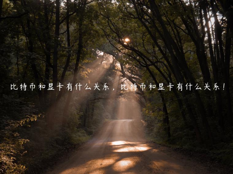 比特币和显卡有什么关系，比特币和显卡有什么关系！-第1张图片-欧意下载