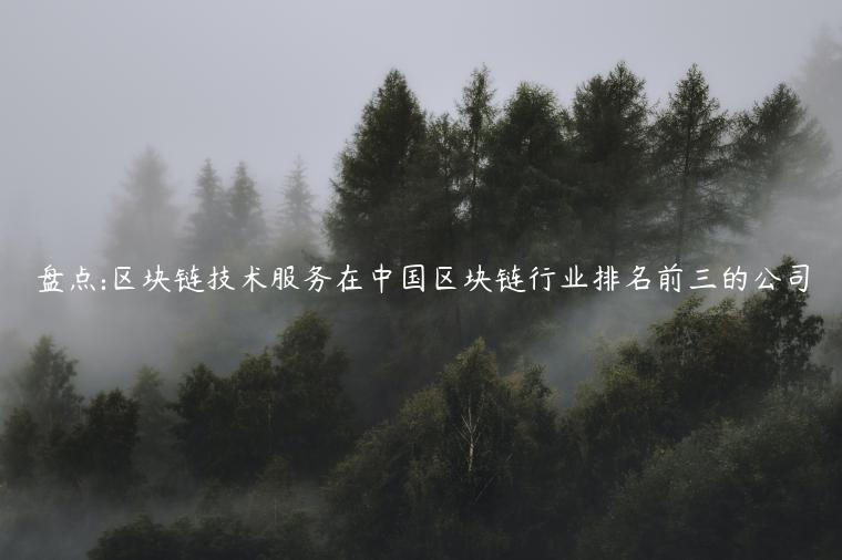 盘点:区块链技术服务在中国区块链行业排名前三的公司-第1张图片-欧意下载