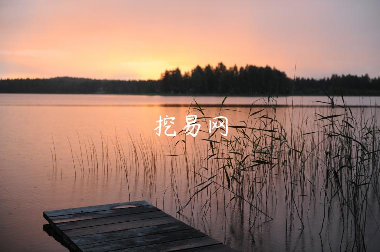 挖易网-第1张图片-欧意下载